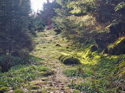 20220205202143-03f15f35